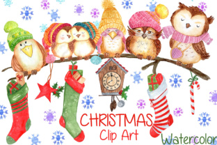 Watercolor Christmas, Cute Owls Clipart Illustrations